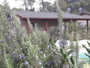 Cabin, 1 Bedroom | 1 bedroom, desk, iron/ironing board, free cots/infant beds - Cabanas del Este (Sauce de Portezuelo)