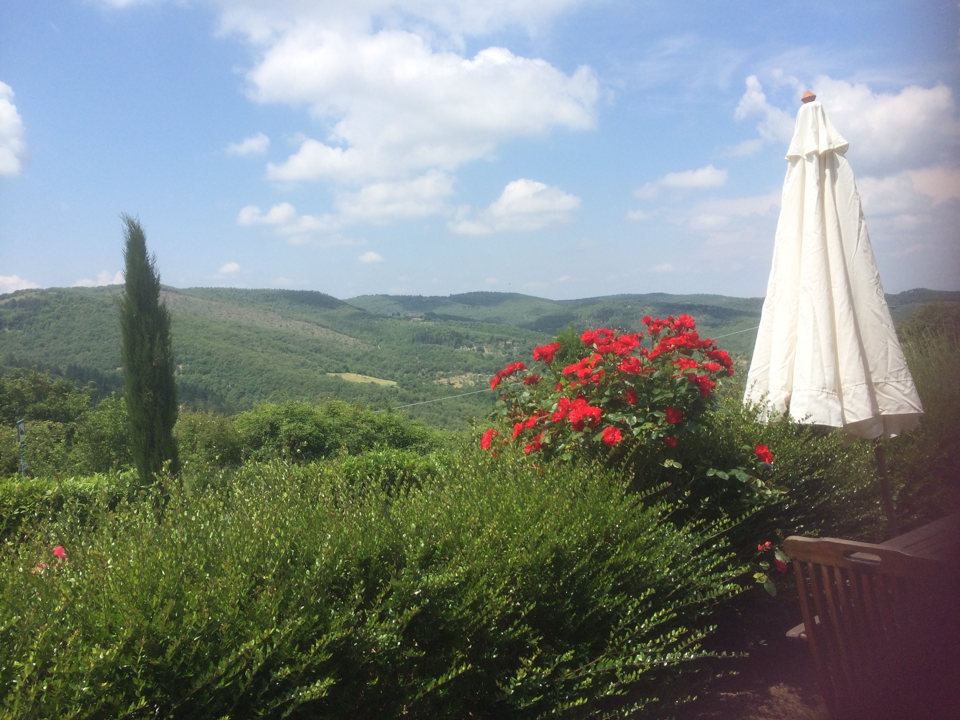 A garden with a white umbrella, lush greenery, and a view of rolling hills.