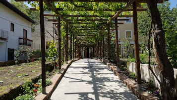 Vườn