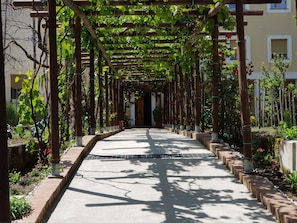 Jardin