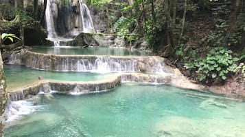 Una cascada natural con agua cristalina que fluye sobre escalones de piedra en un área boscosa.