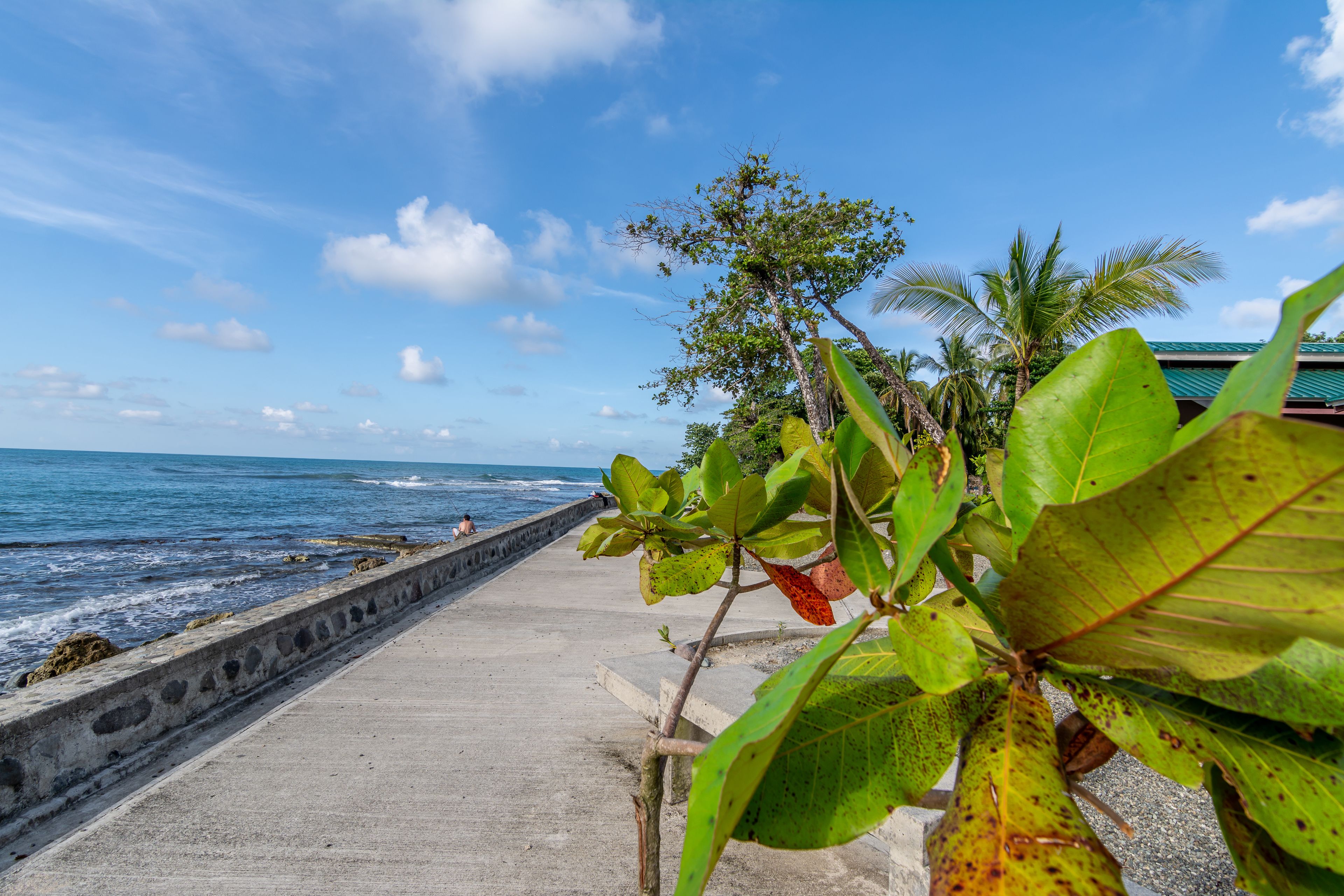 A concrete walkway along a coastal area with a view of the ocean and palm trees.