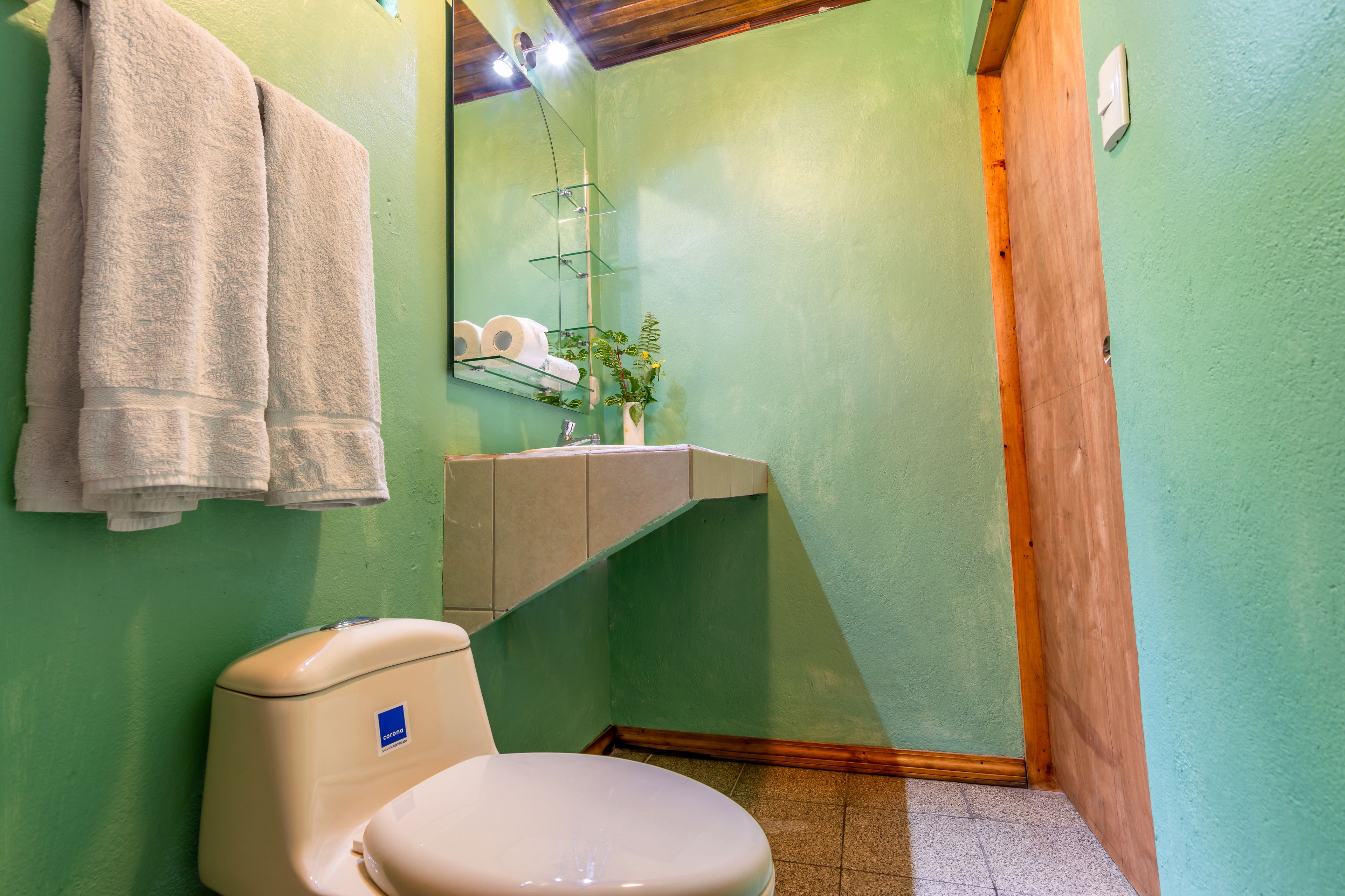 Un baño con inodoro, toallero con toallas, espejo, estante con artículos de aseo y una planta.