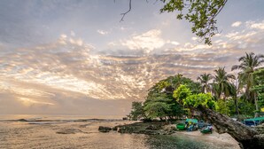 A beach with a large tree trunk in the foreground, palm trees, and boats on the sand. - Cabinas Arrecife (Cahuita)