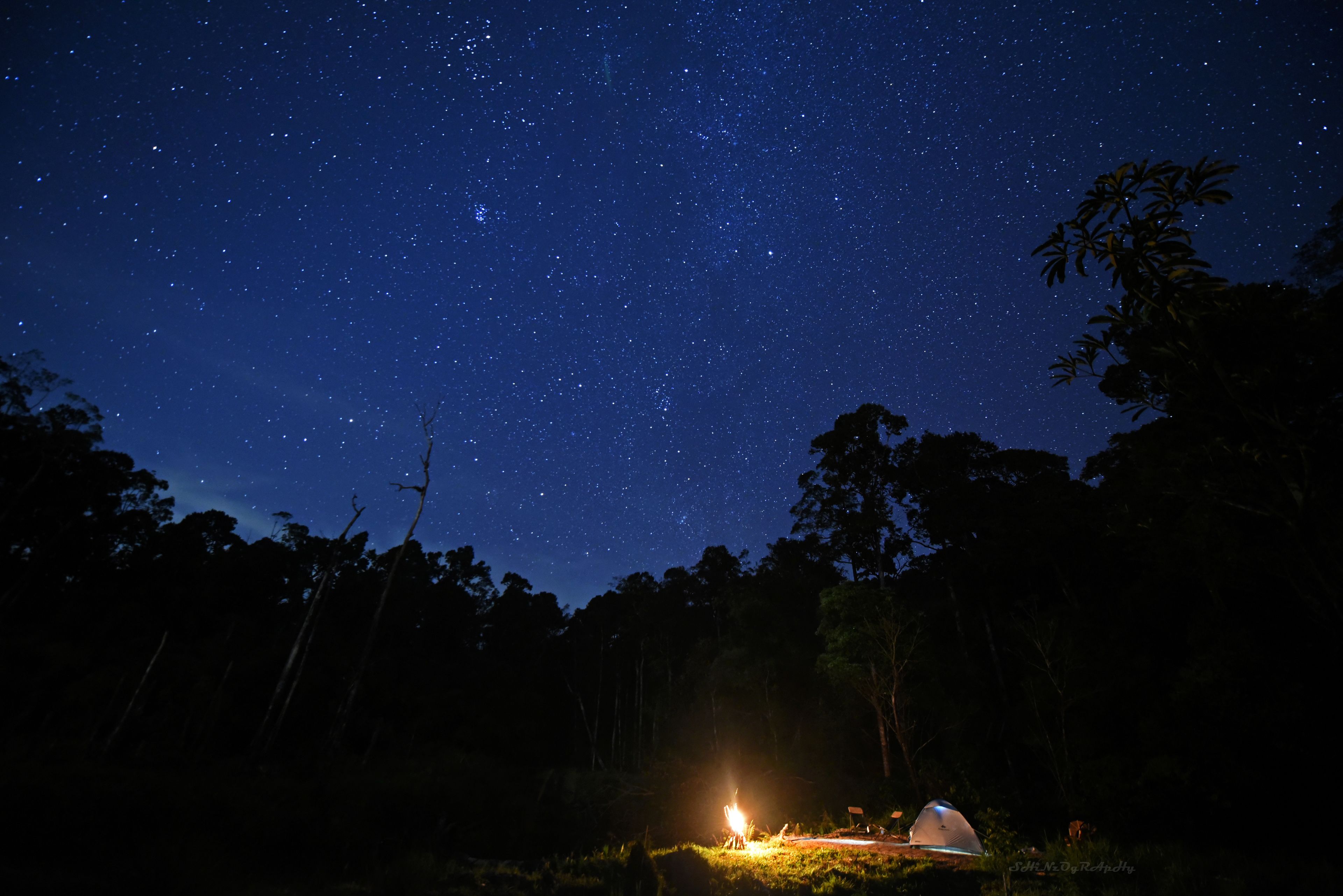A night sky filled with stars, a campfire, and a tent in a forest setting.
