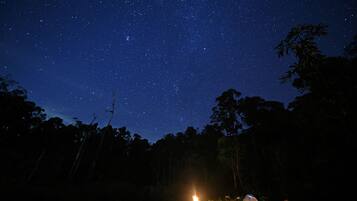 A night sky filled with stars, a campfire, and a tent in a forest setting.
