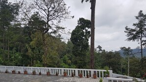 Une terrasse dallée, agrémentée de plantes en pot et dotée d’une balustrade blanche.