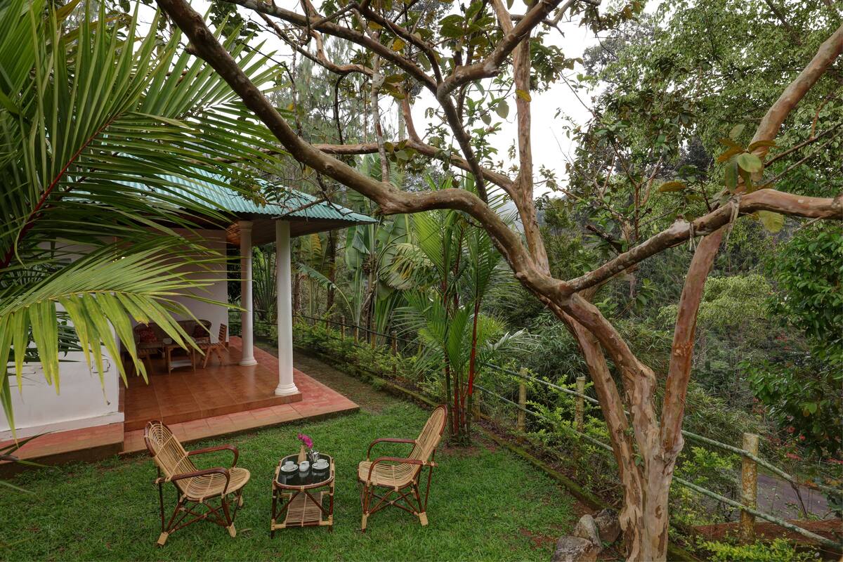 Un área de estar al aire libre con techo, con dos sillas de mimbre y una mesa pequeña, rodeada de abundante vegetación y un gran árbol.