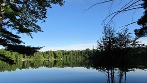 Tyyni järvi, jonka pinnalla puut heijastuvat, ja järveä ympäröi metsä.