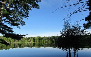 En stilla sjö med träd som speglas i vattnet, omgiven av en skog.