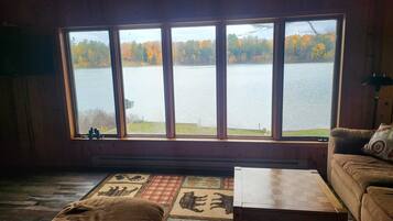 TV, fireplace, music library