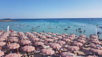 Playa en los alrededores y camastros