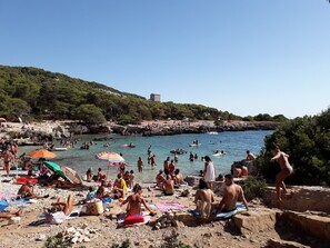 Playa en los alrededores y camastros 