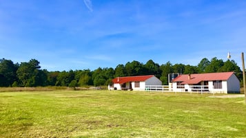 Cabin, 3 Bedrooms | Terrace/patio