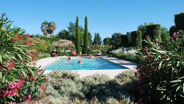 A swimming pool surrounded by lush greenery and palm trees. - Penthouse. 4 pers. Private Solarium Terrace 105m2, pool 12 m by 6 (Saint-Paul-De-Vence)