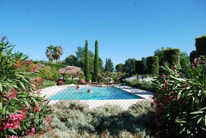 Une piscine entourée d’une végétation luxuriante et de palmiers.