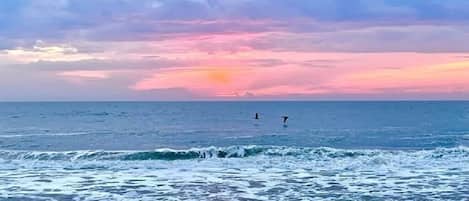On the beach, sun loungers