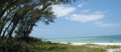 ビーチの近く、サンラウンジャー、ビーチタオル