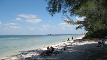 Plage à proximité, chaises longues, serviettes de plage
