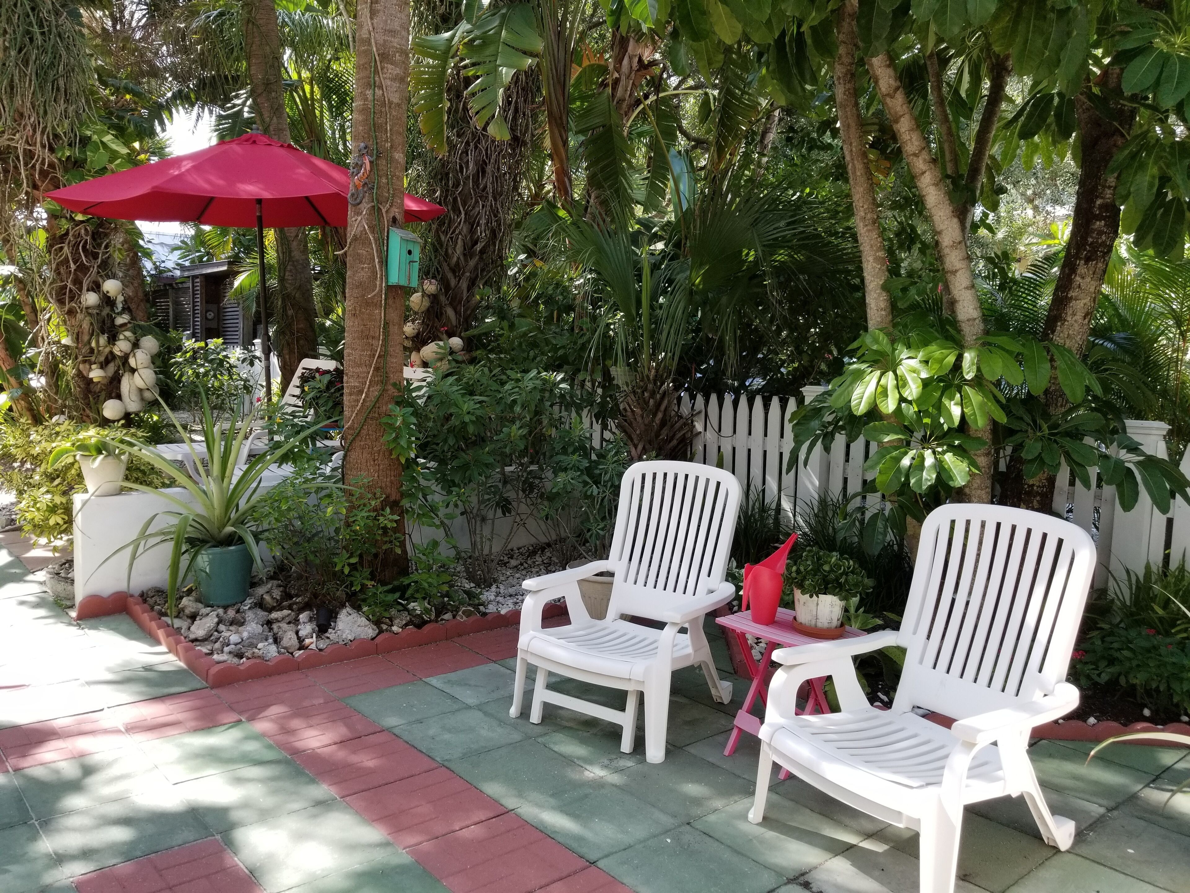 Top 10 Beach House Rentals Near Tampa, Florida Trip101