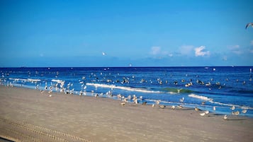 Na praia, espreguiçadeiras, toalhas de praia