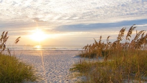 A beach scene with tall grasses in the foreground and the sun setting in the background. - Cape canaveral beach resort (Cape Canaveral)