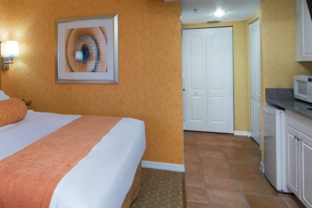 A hotel room with a bed, a television, a microwave, and a door leading to a bathroom.