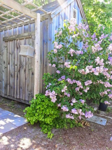 New-Charming 2BR Condo, tolle Lage - Schritte in die Stadt