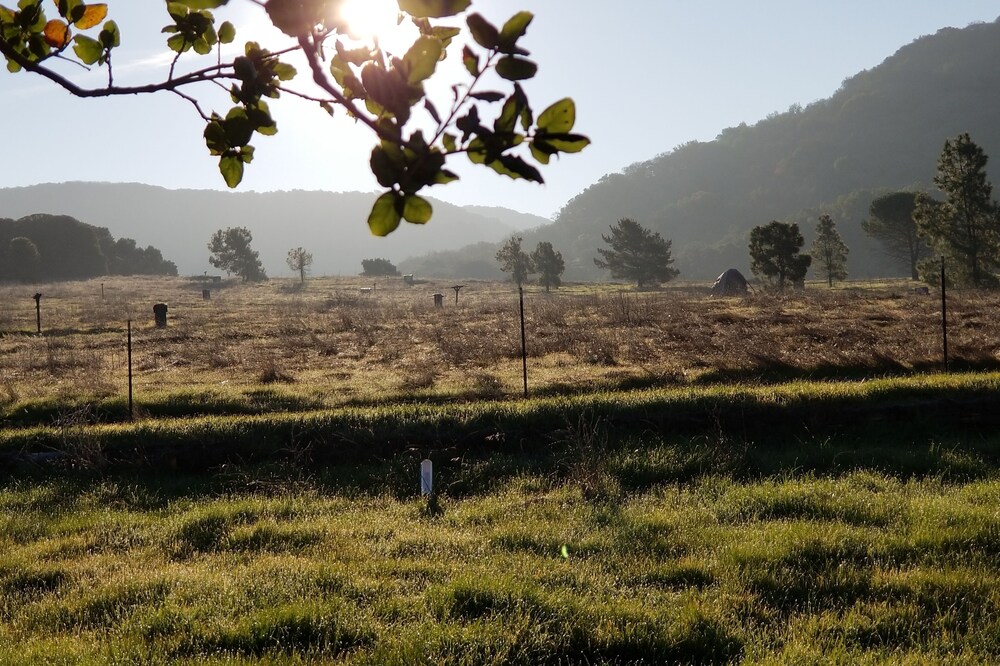 Charming Cottage / Guest House 2 miles from Downtown Napa
