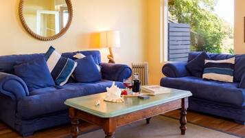 TV, fireplace, DVD player, books