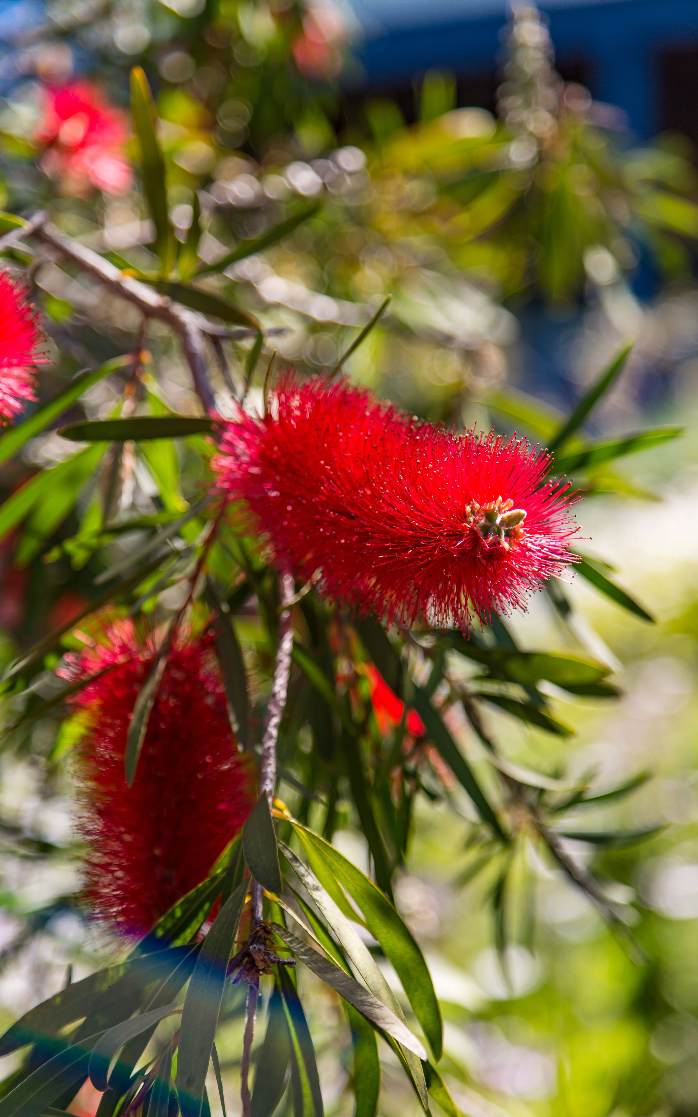 Oceanfront Haven with Unparalleled Views and Retreat Living — image 25