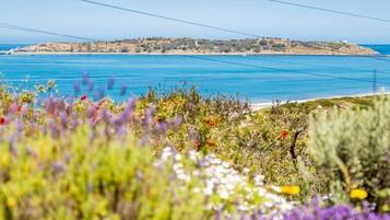 Beach nearby, sun-loungers
