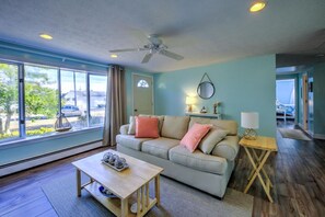 Smart TV, caminetto, lettore DVD, libri