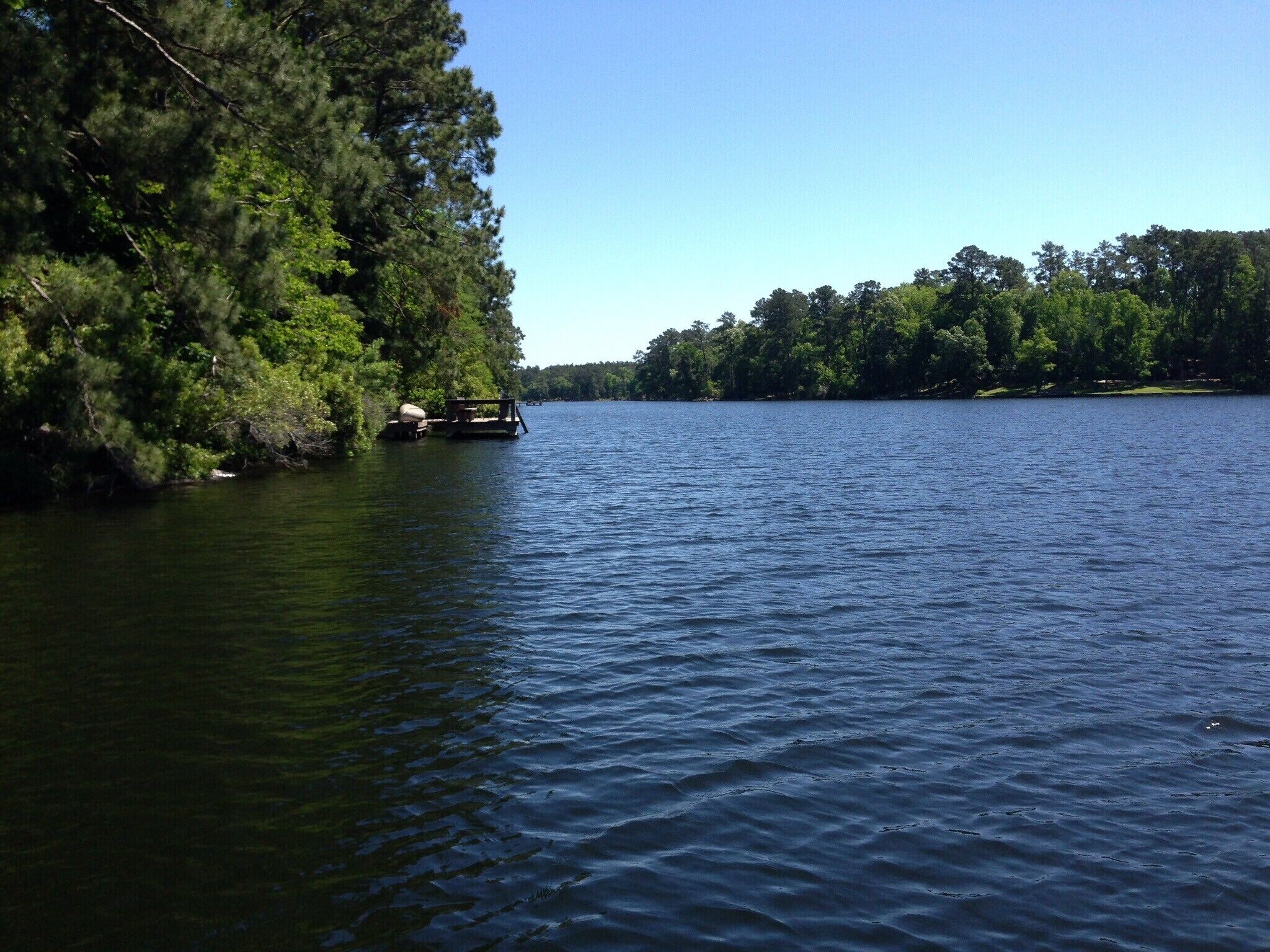 Magical Memories on the Lake: Boats+Campfire+Swimming+Hammocks=Fun for all!
