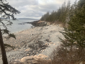 A rocky beach with trees and a view of the water.