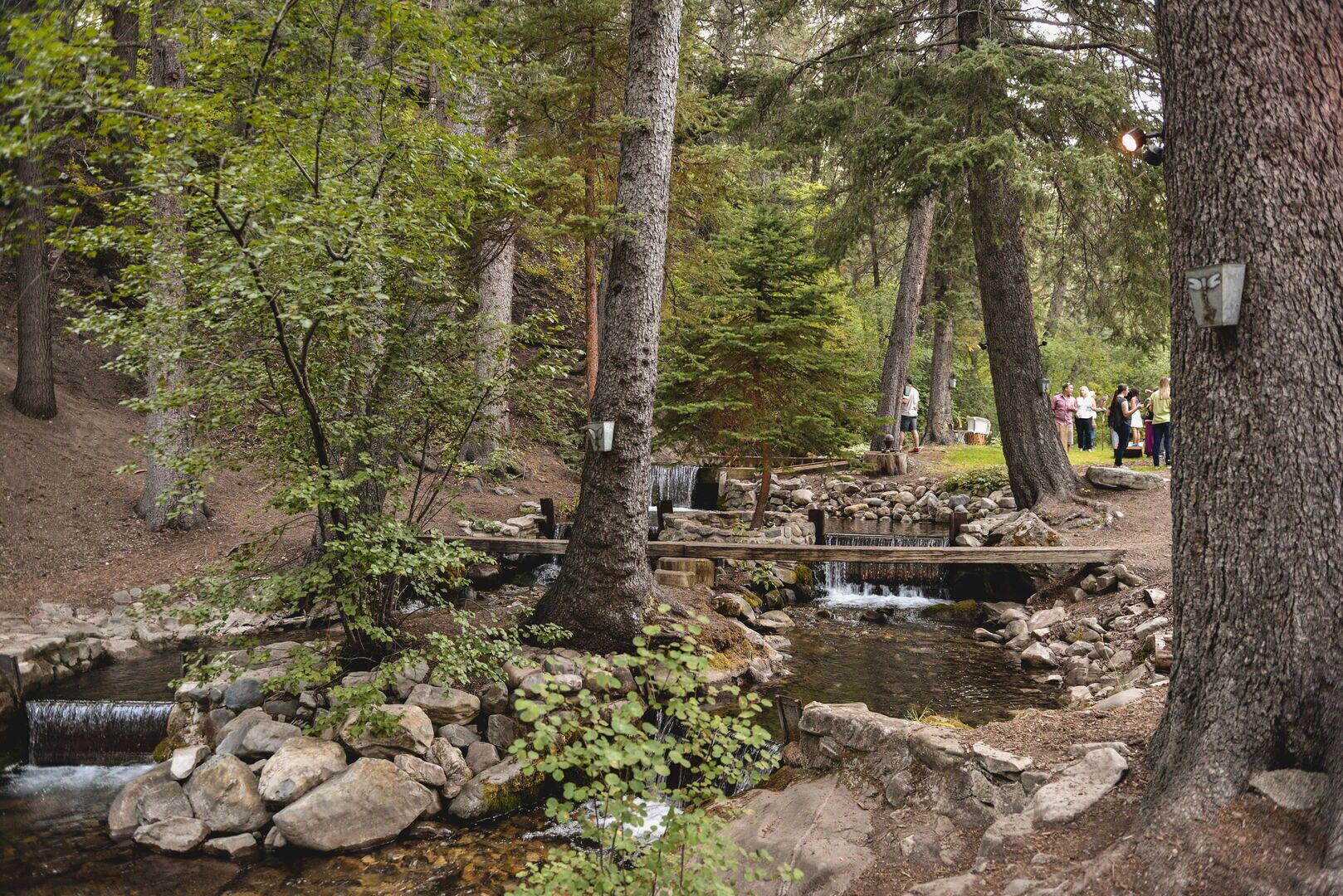 Ein bewaldetes Gebiet mit einem kleinen Bach, einer Holzbrücke und einem Picknicktisch.