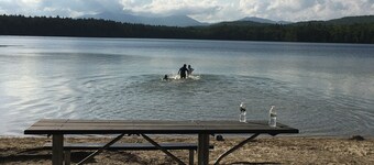 New Pine Cabin in the white mountains walk to white lake new 