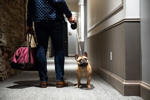 Pet-friendly