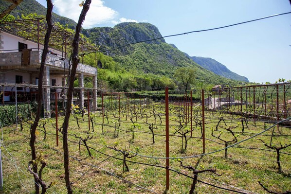 Áreas de la propiedad