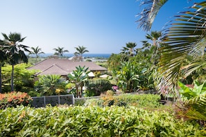 Property grounds - 5★Tropical Oasis, Heated Pool, Waterfall, Gazebo, OceanView,❤️of Kona,NEW Remodel (Kailua-Kona)