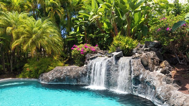 A clear blue pool with a waterfall feature surrounded by lush tropical vegetation. - 5 ★ Nakukui Hale: Waterfall Pool, Gazebo & Ocean Views, Gated Kona Town Retreat (Kailua-Kona)