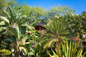 The gorgeous gazebo peekabooing through the foliage 