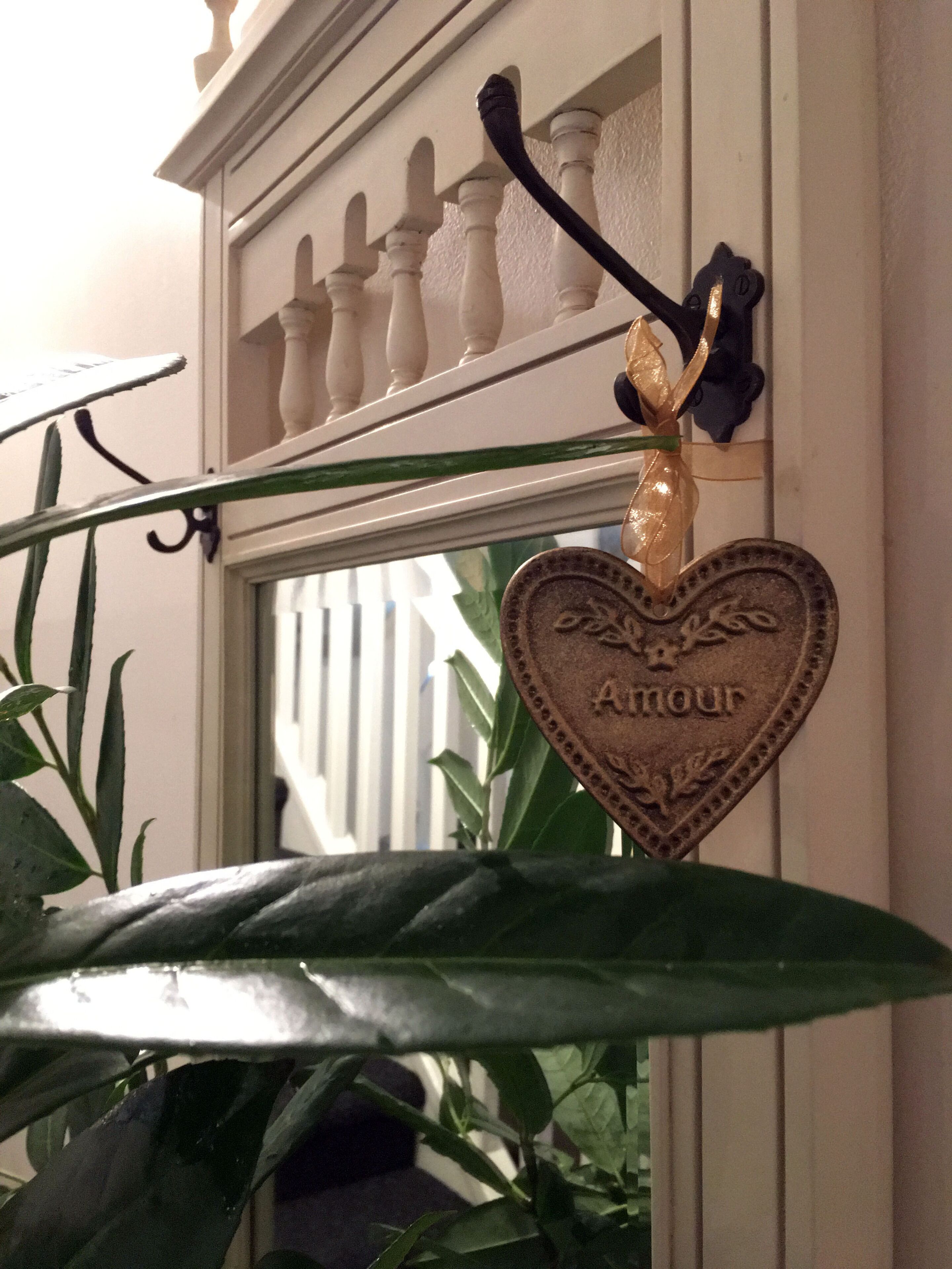 Wild Orchid Olinda ~ Private Luxury self contained Cottage ~ Dandenong Ranges — image 4