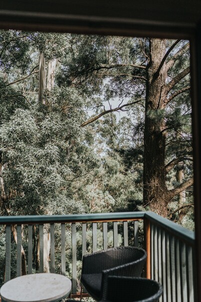 Wild Orchid Olinda ~ Private Luxury self contained Cottage ~ Dandenong Ranges