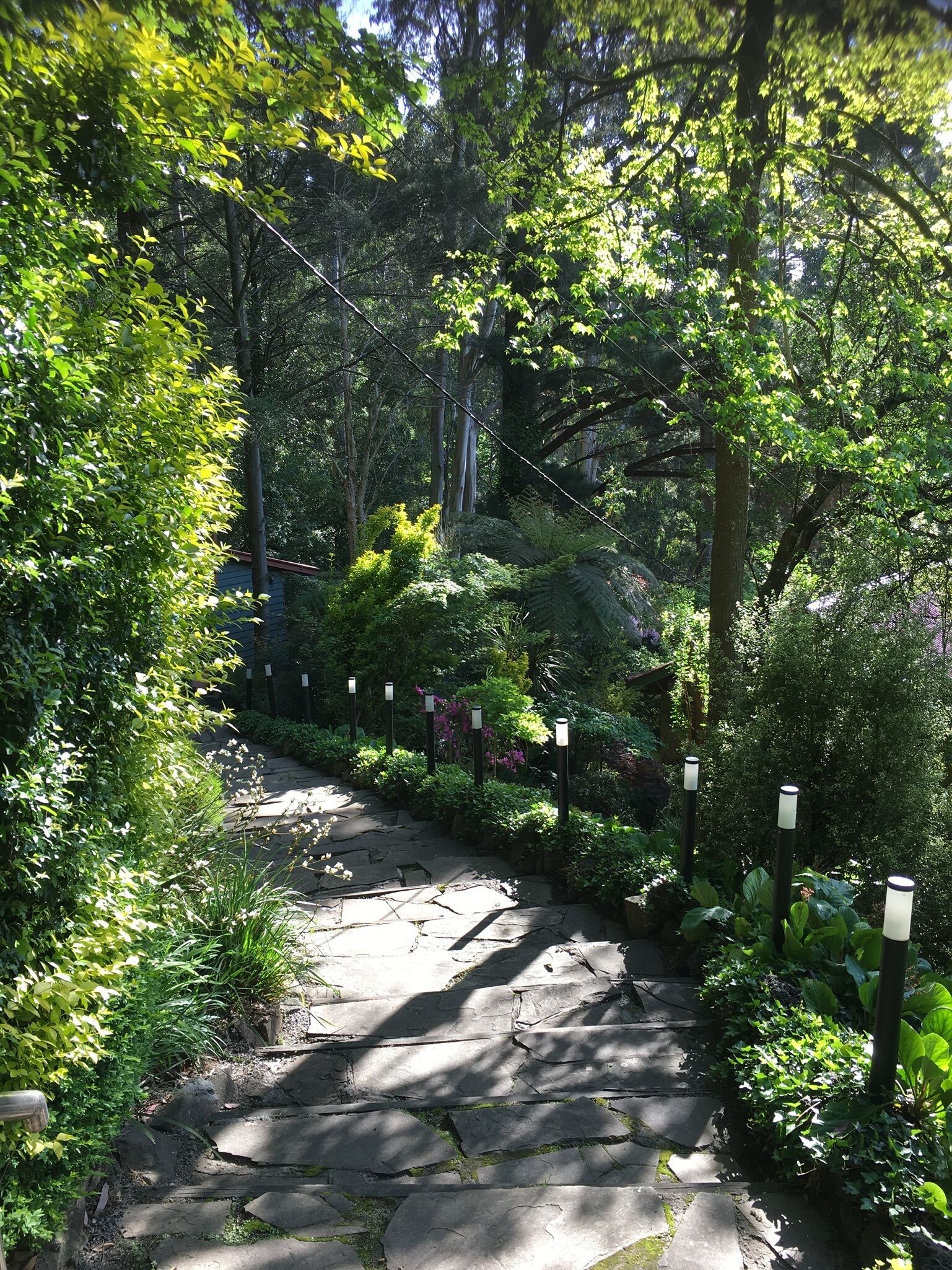 Wild Orchid Olinda ~ Private Luxury self contained Cottage ~ Dandenong Ranges — image 6