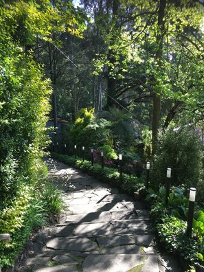 Ein Steinweg in einem üppigen Garten mit dichtem Grünwerk und einem Holzzaun.