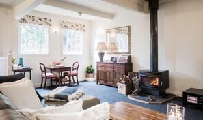 TV, fireplace, DVD player, books