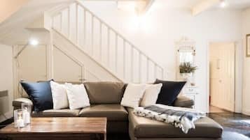 TV, fireplace, DVD player, books