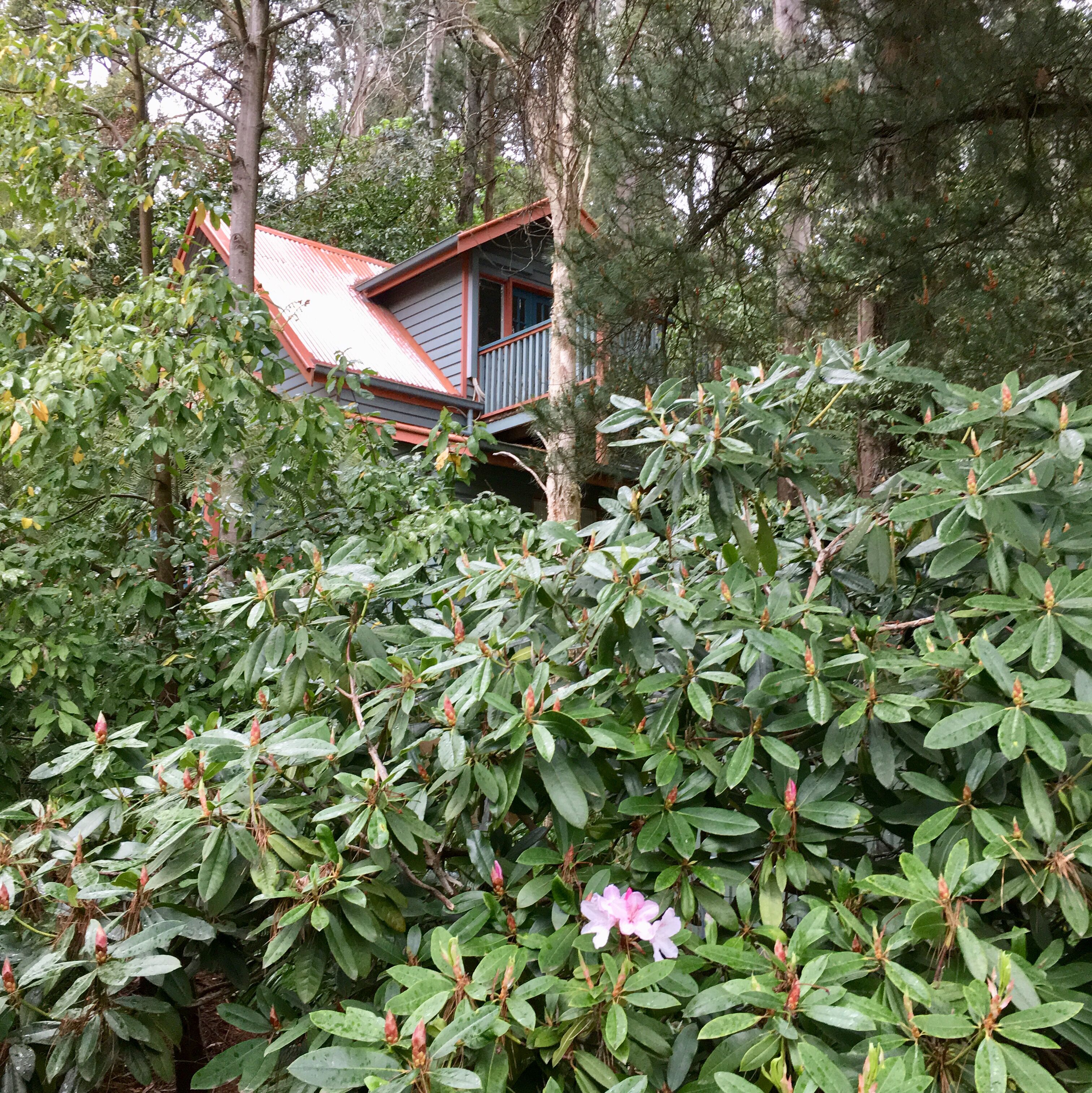 Wild Orchid Olinda ~ Private Luxury self contained Cottage ~ Dandenong Ranges — image 28