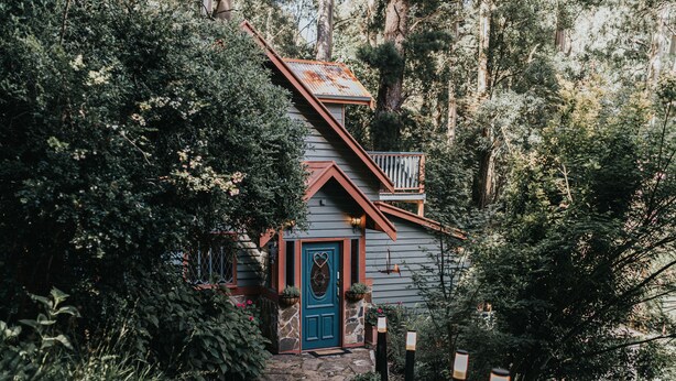 Una cabaña rústica con una escalera de piedra que conduce a una puerta de madera, rodeada de un bosque denso.